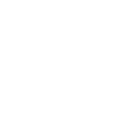 Caixa Seguradora